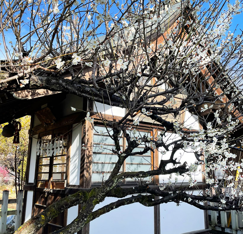 宮地天満宮ヘッダー2